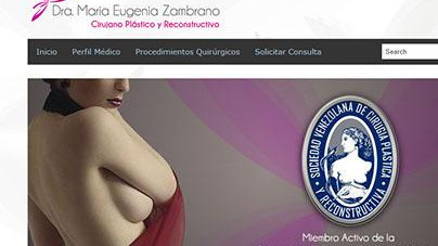 Carlos Zambrano - Páginas Web
